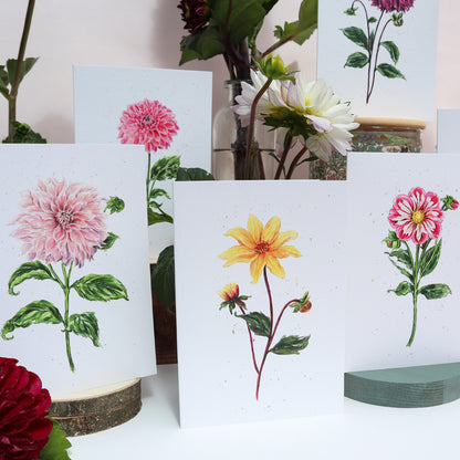 Dahlia Cafe Au Lait Greetings Card - Floral Botanical Greeting Card