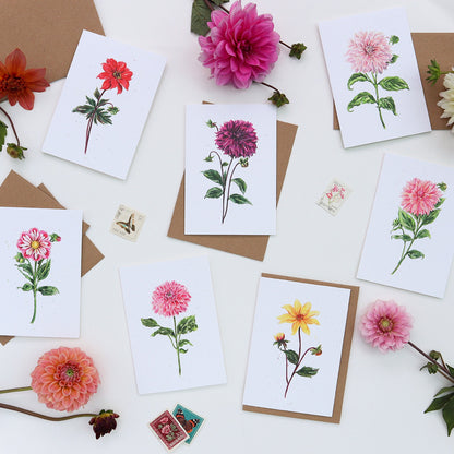 Dahlia Bumble Rumble Greetings Card - Floral Botanical Greeting Card