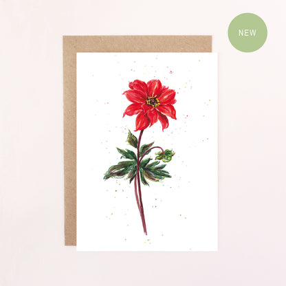 Dahlia Bishop Of Llandaff Greetings Card - Floral Botanical Greeting Card