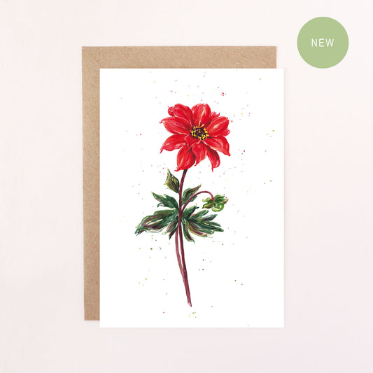 Dahlia Bishop Of Llandaff Greetings Card - Floral Botanical Greeting Card
