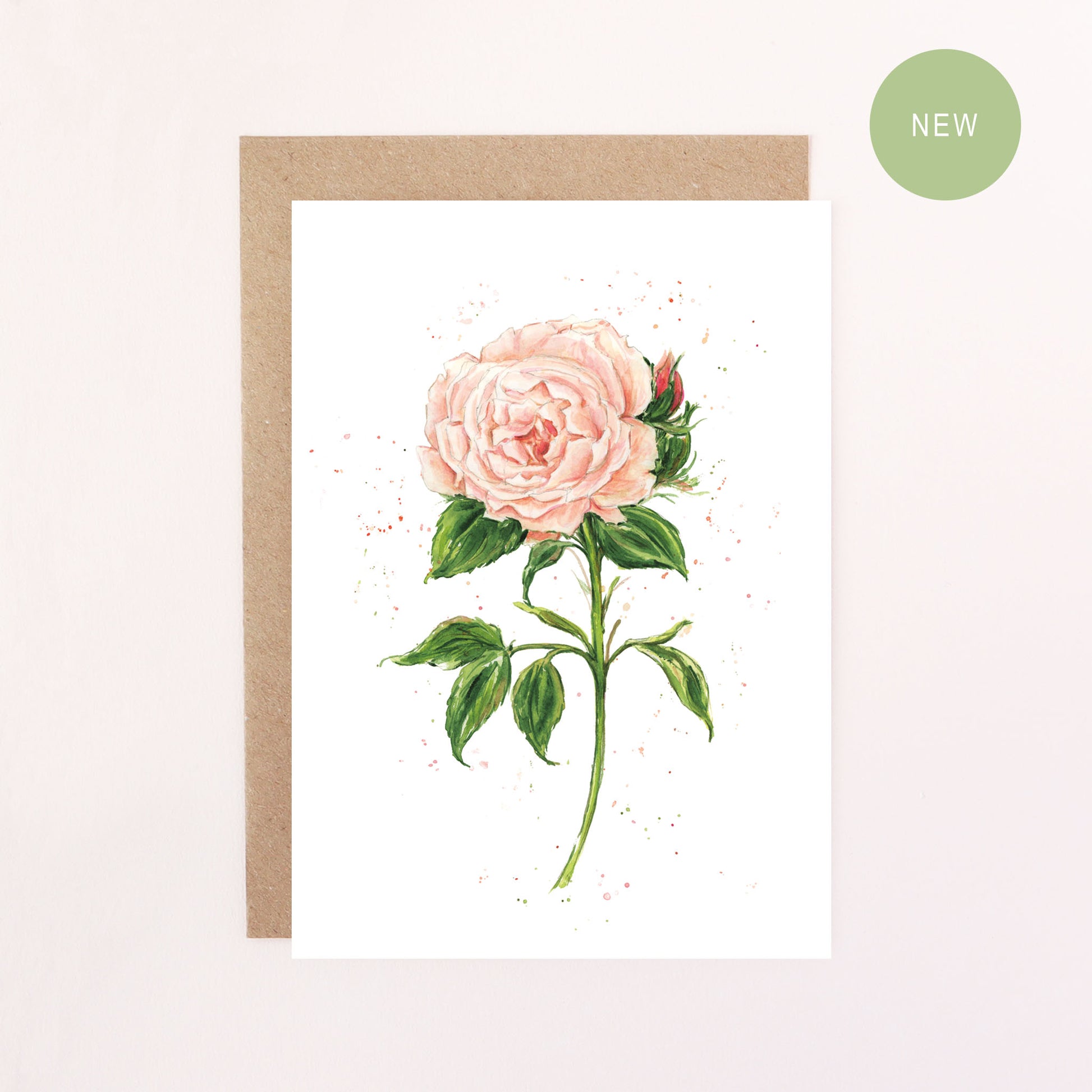 Greeting card with a English garden Orange/Pink rose illustration on a white background