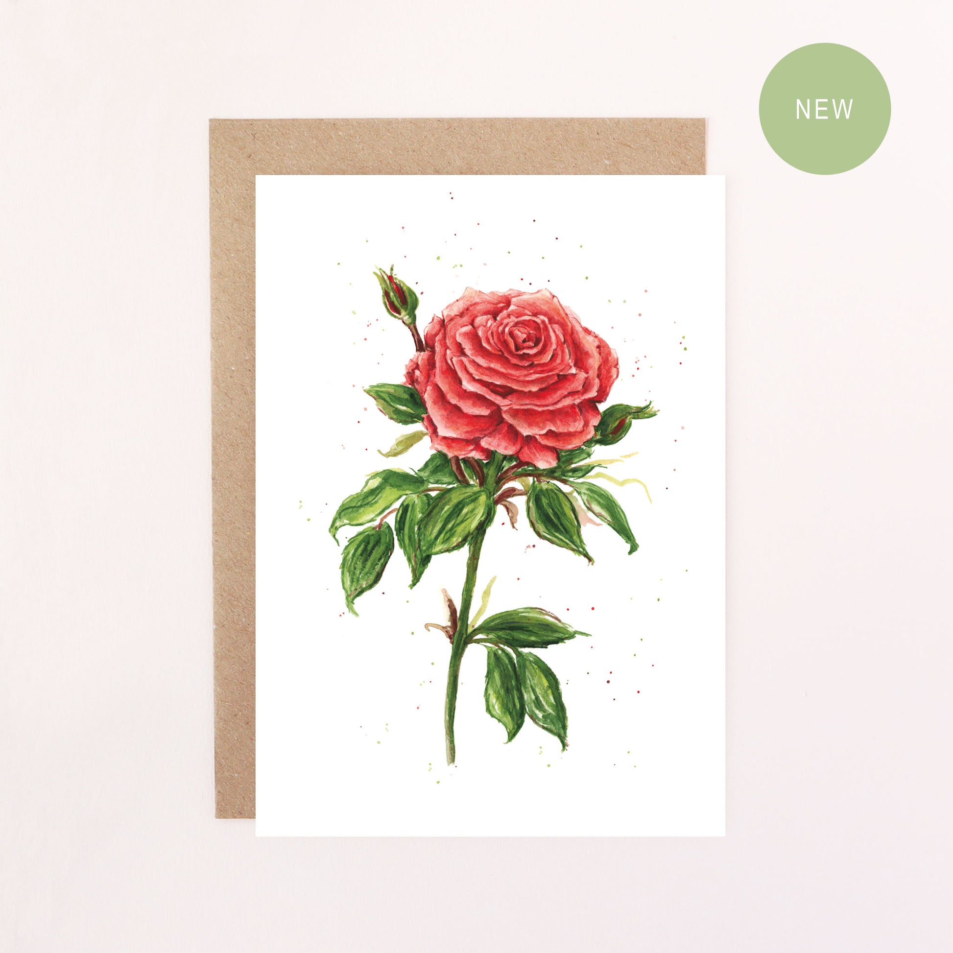 Greeting card with a English garden red rose illustration on a white background