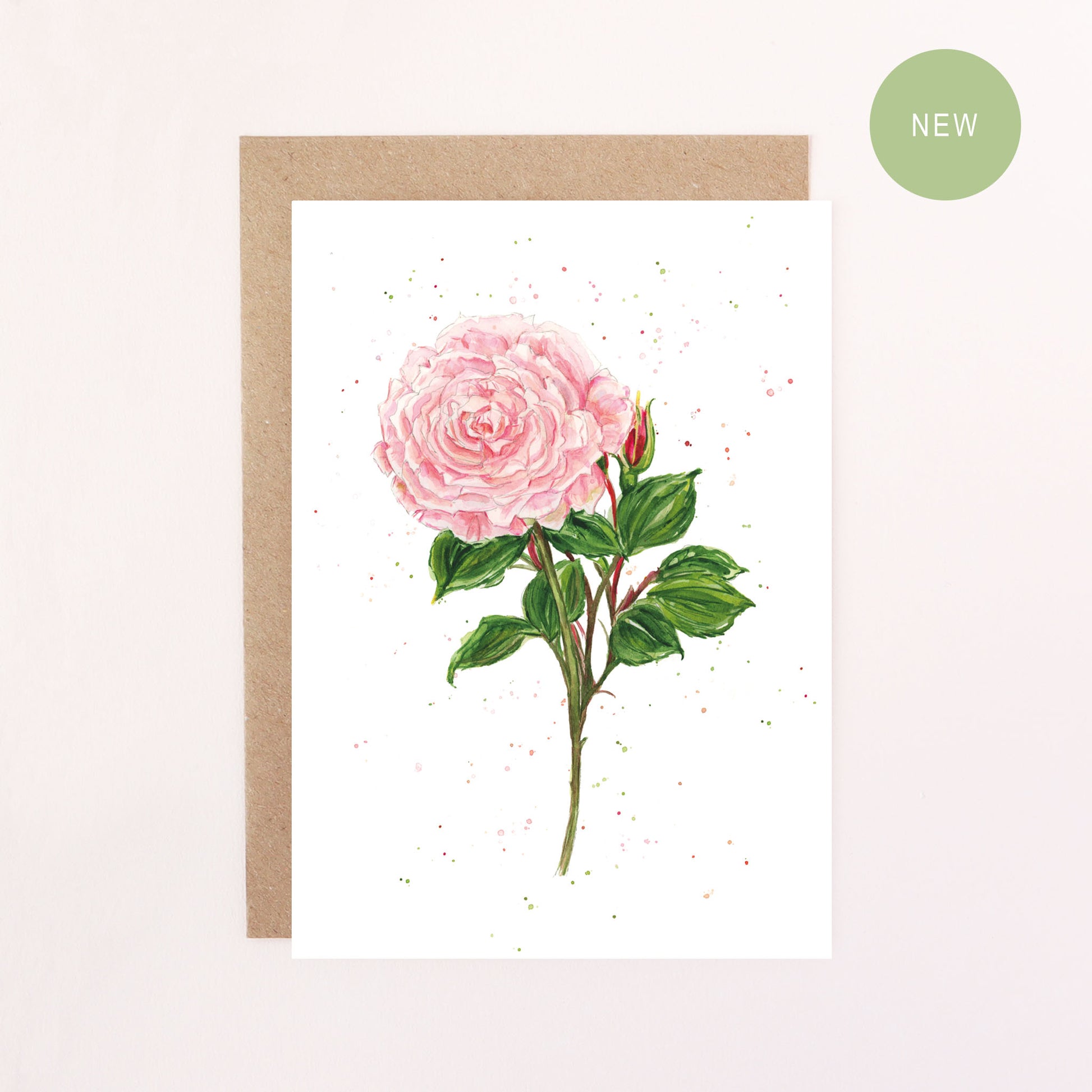 Greeting card with a English garden pink rose illustration on a white background