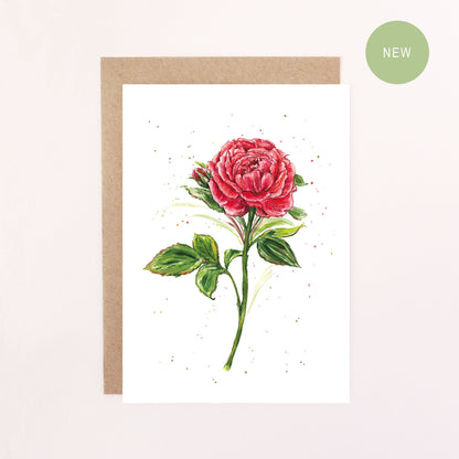 Greeting card with a English garden red rose illustration on a white background