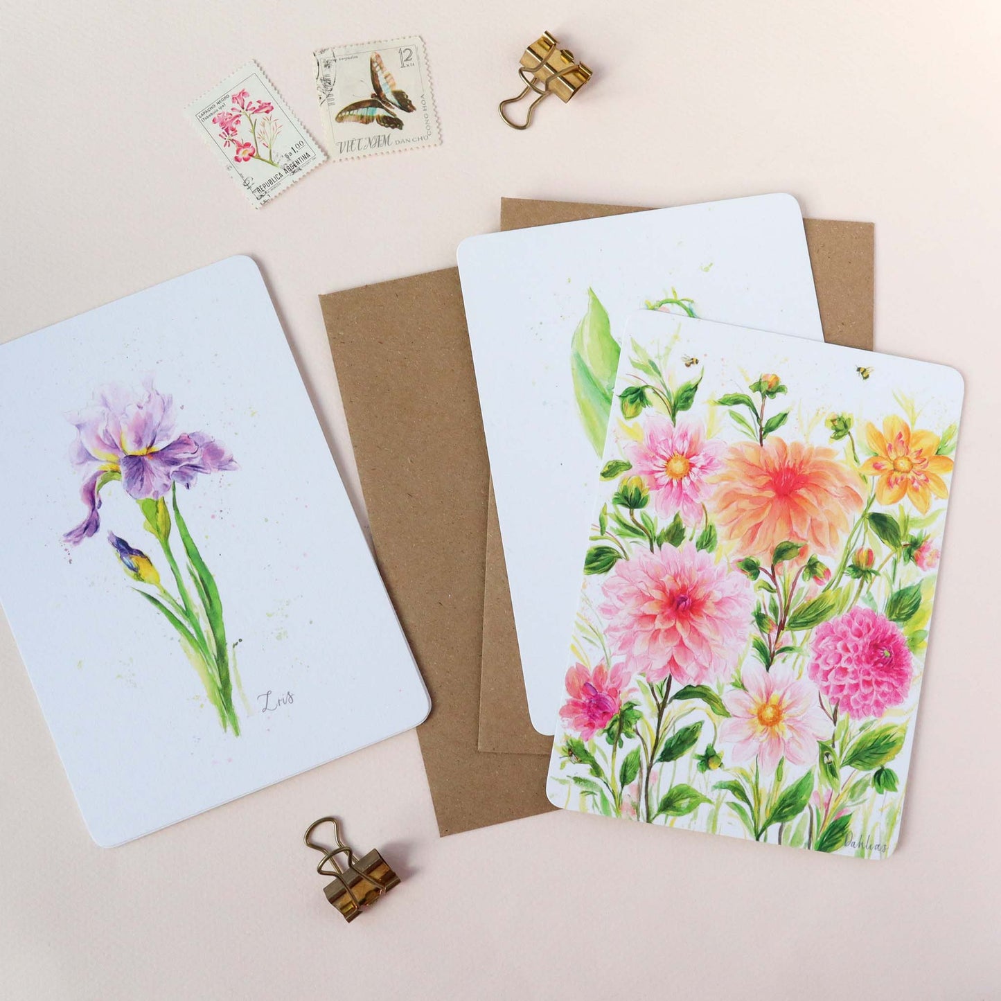 Iris Floral Postcard