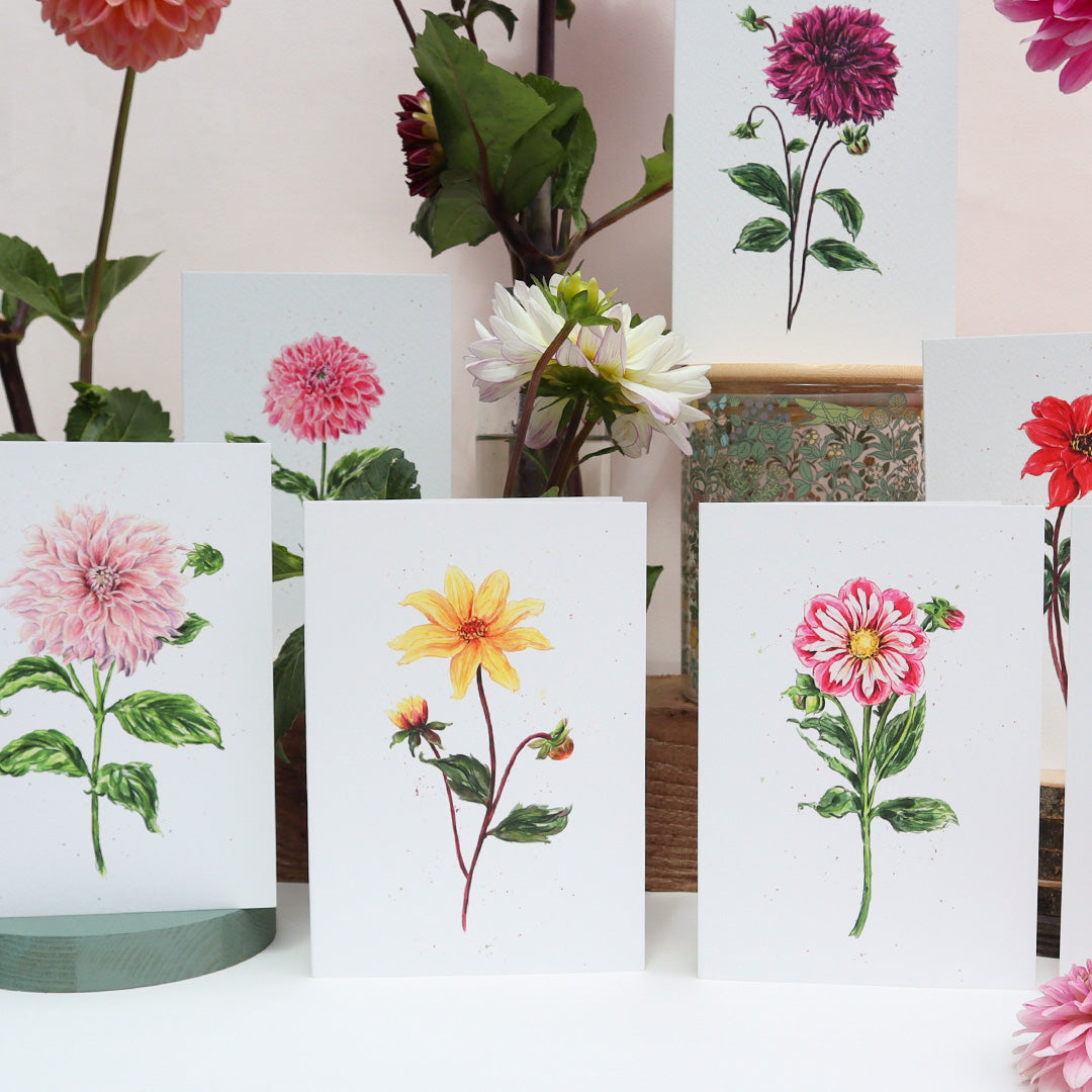 Dahlia Bishop Of York Greetings Card - Floral Botanical Greeting Card
