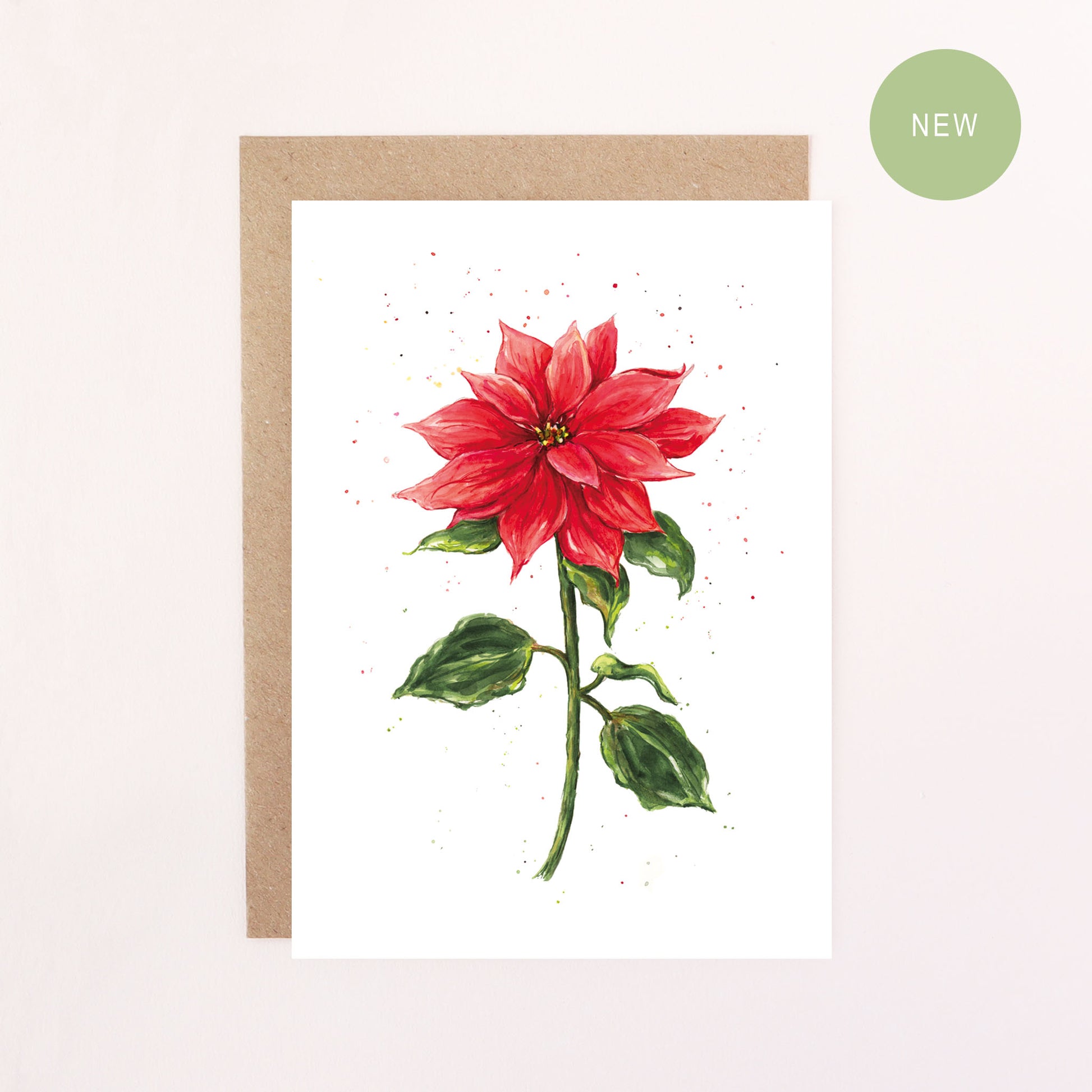 A Greeting Card illustration featuring a Red Poinsettia Flower with a white background.