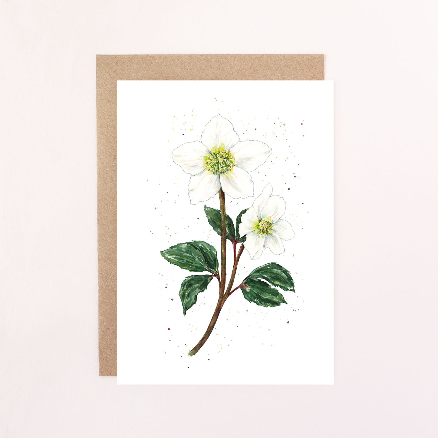 Helleborus Greetings Card