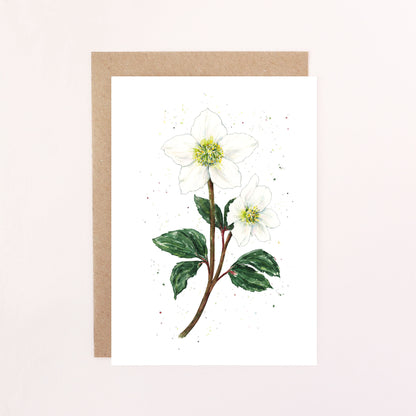 Helleborus Greetings Card