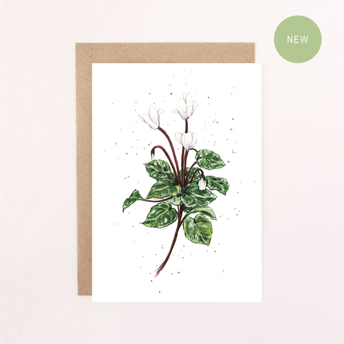 A Greeting Card illustration featuring a White Cyclamen Flower with a white background.