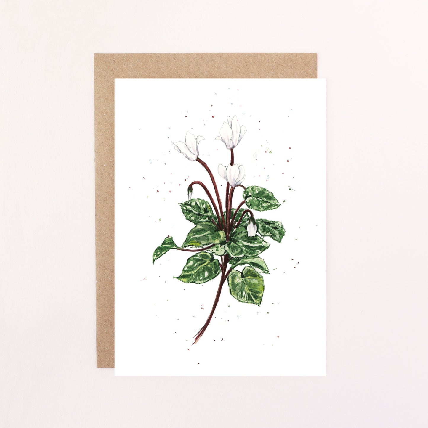 Cyclamen Greetings Card