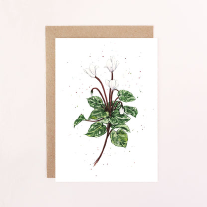Cyclamen Greetings Card