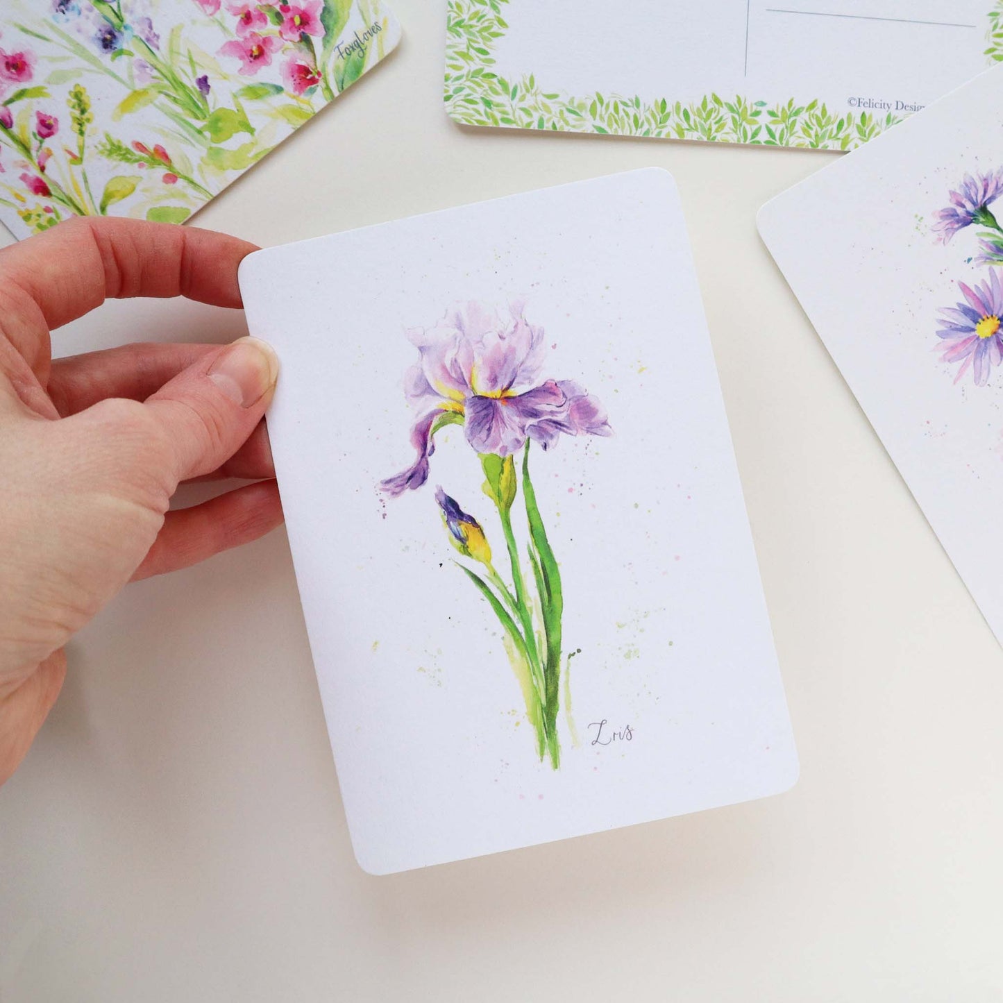 Iris Floral Postcard