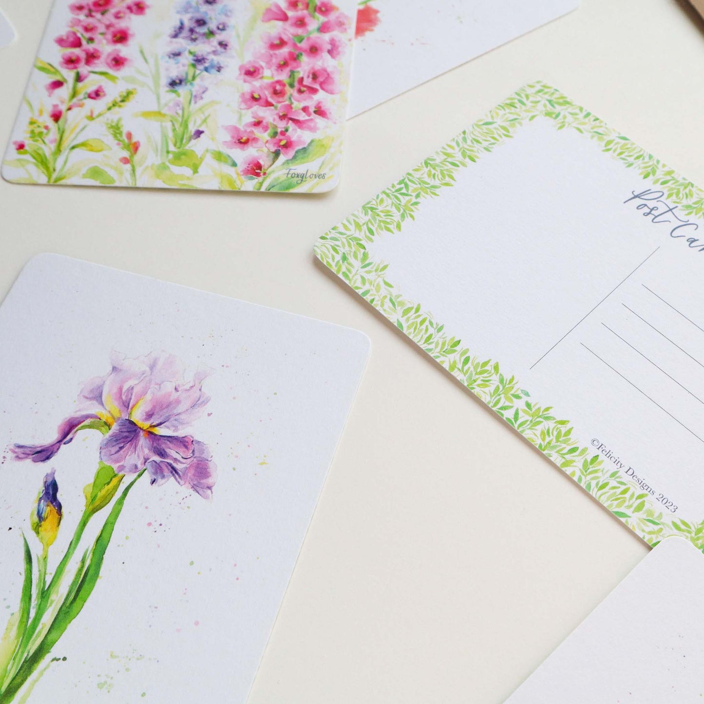Iris Floral Postcard