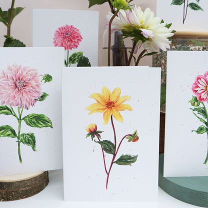 Dahlia Bishop Of York Greetings Card - Floral Botanical Greeting Card