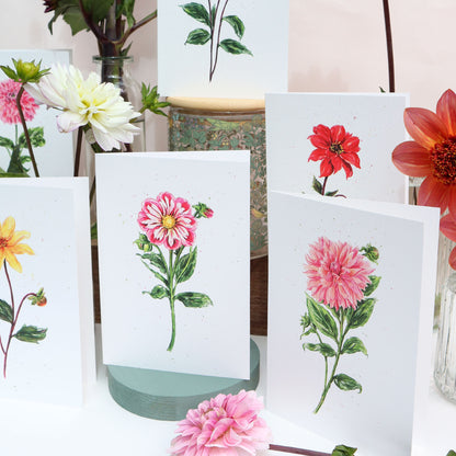 Dahlia Bumble Rumble Greetings Card - Floral Botanical Greeting Card