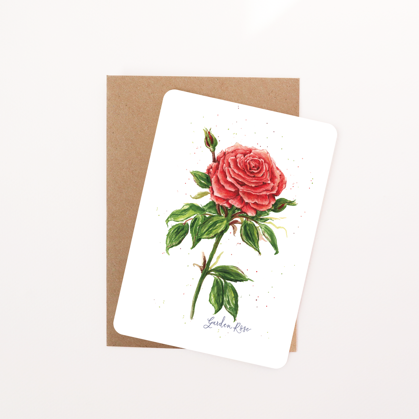 English Garden Red Rose Postcard