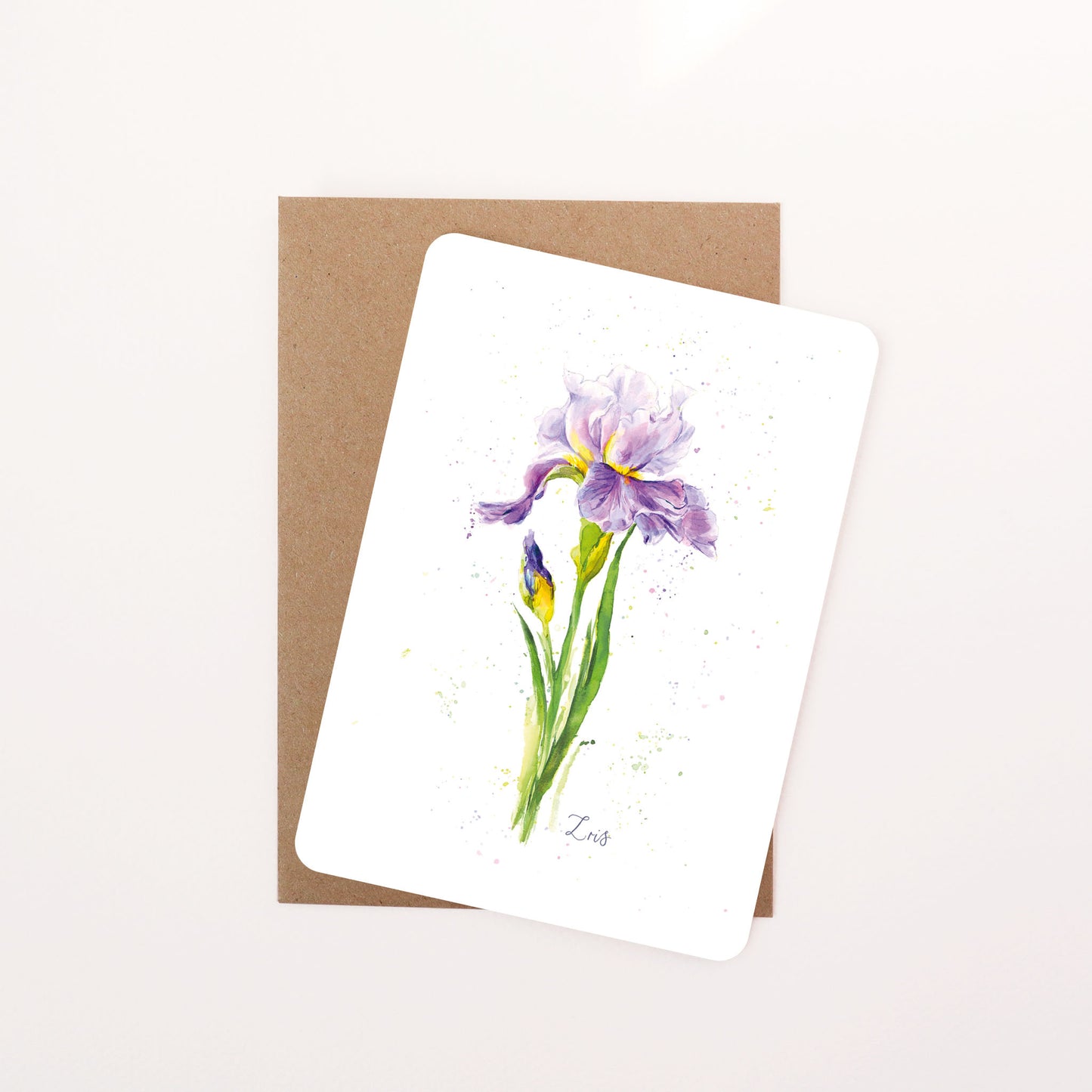Iris Floral Postcard