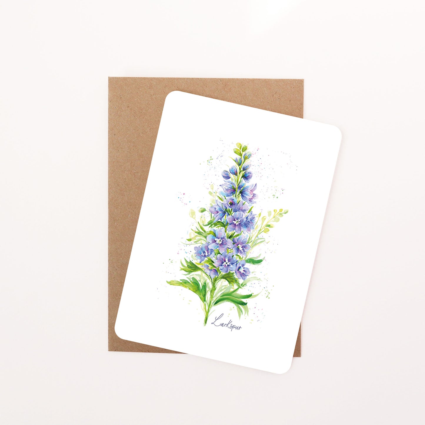 Larkspur Floral Postcard