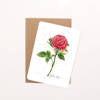 English Garden Light Red Rose Postcard
