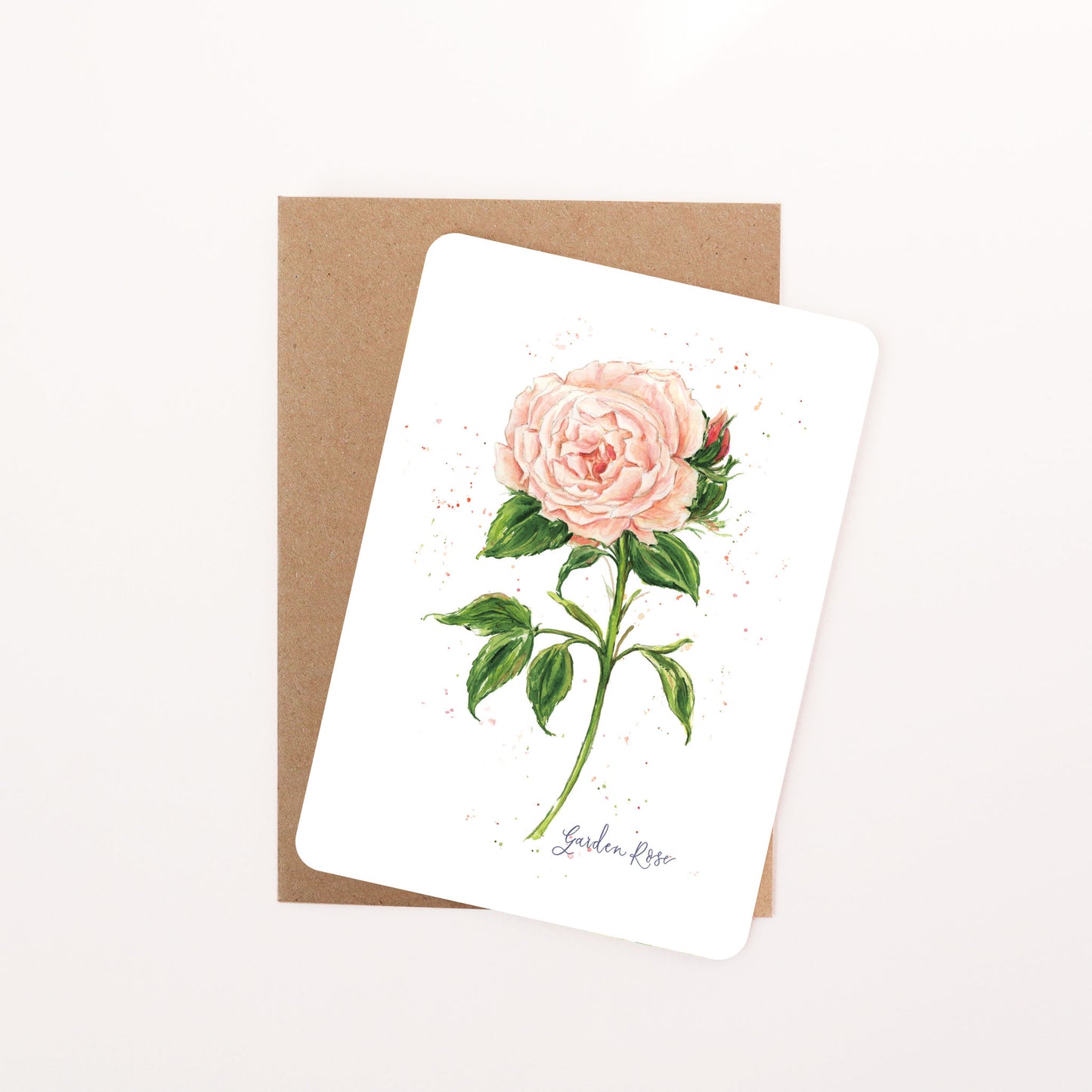 English Garden Orange Rose Postcard
