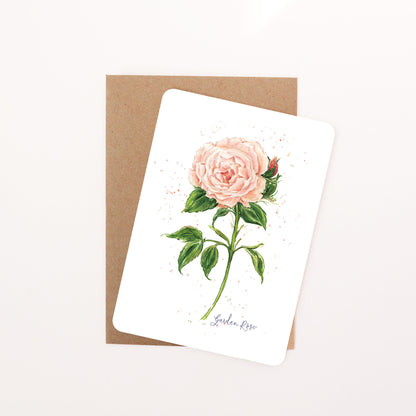 English Garden Orange Rose Postcard