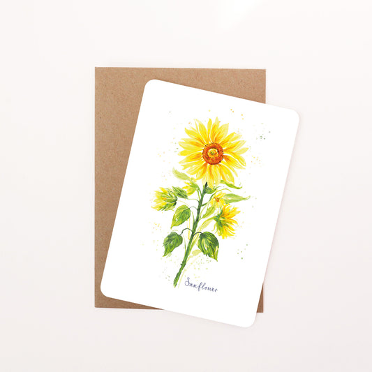 Sunflower Floral Postcard