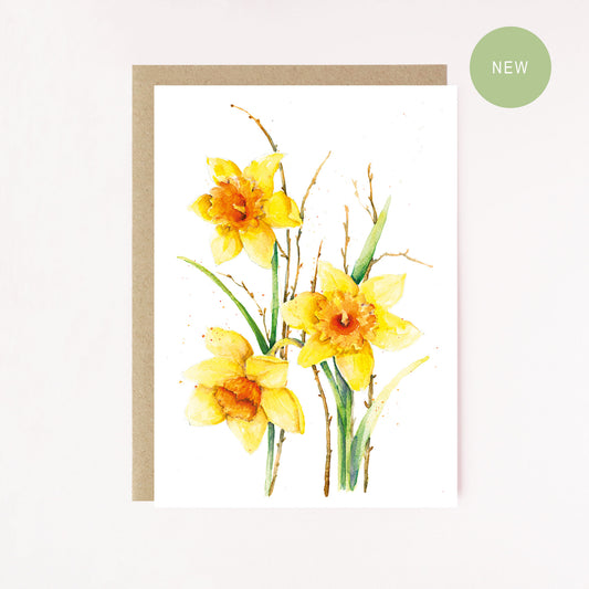 Daffodils In Bloom Greetings Card