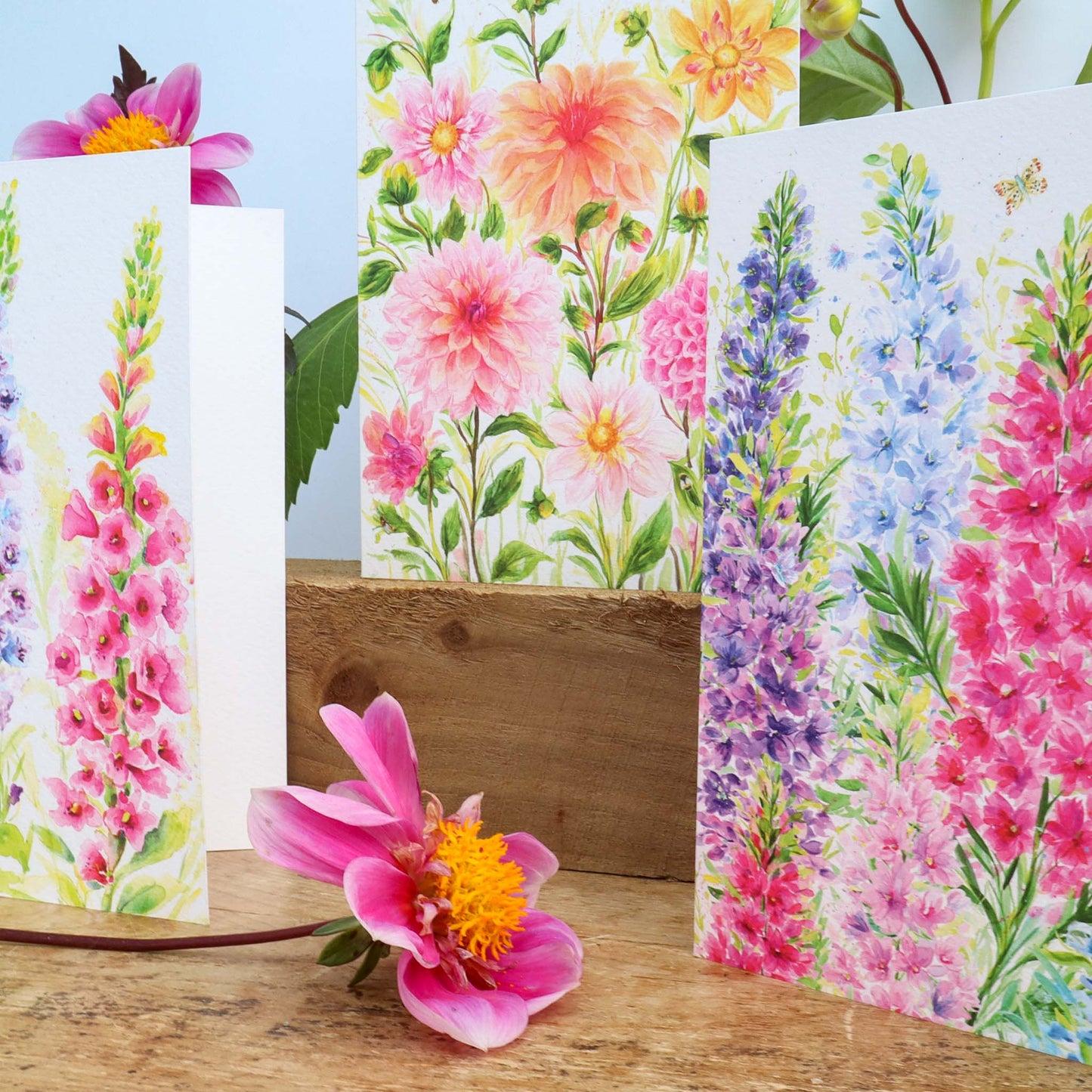 Colourful Floral greeting cards displaying Dahlias. foxgloves and delphiniums
